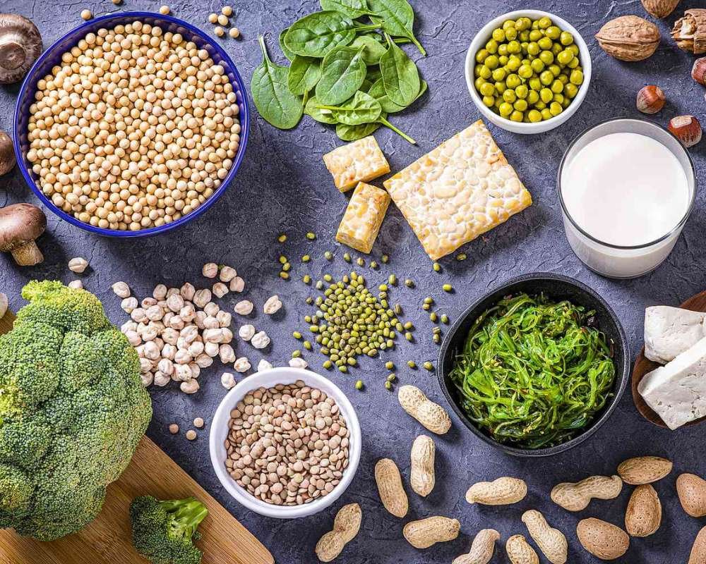 Plant-Based Protein Powerhouses