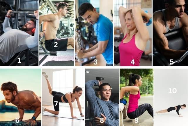 Designing a Quality Tricep Routine