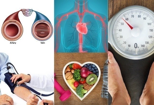Natural Approaches to Circulatory Wellness